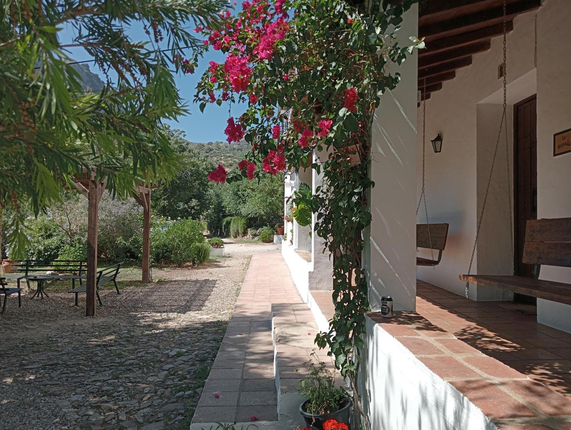 Casa Rural La Maquinilla Grazalema Exterior foto