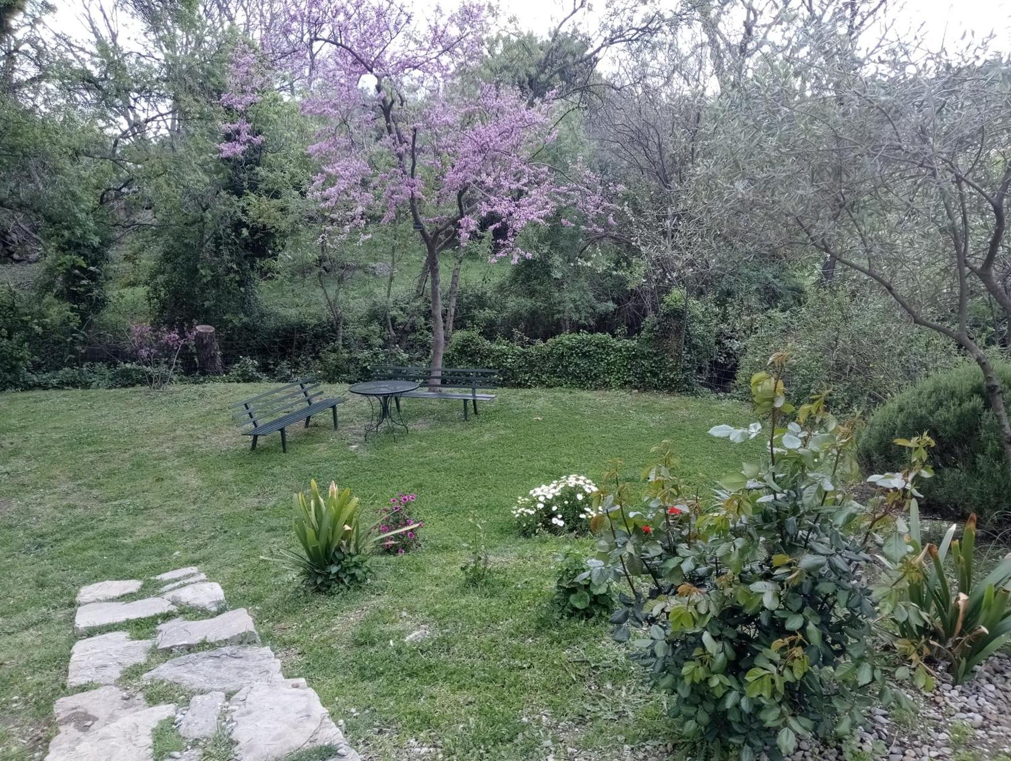Casa Rural La Maquinilla Grazalema Exterior foto
