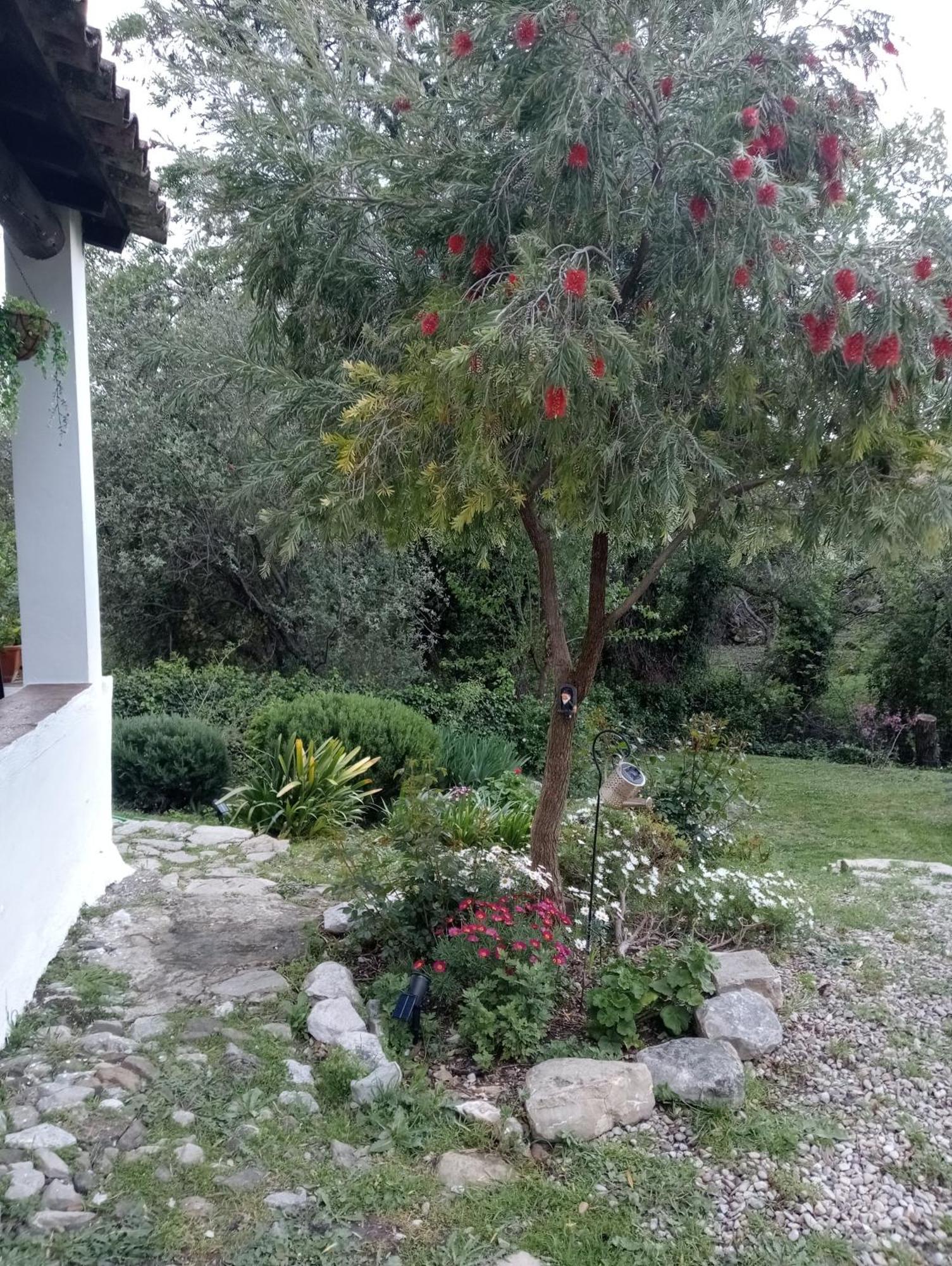 Casa Rural La Maquinilla Grazalema Exterior foto